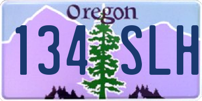 OR license plate 134SLH