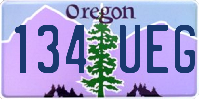 OR license plate 134UEG