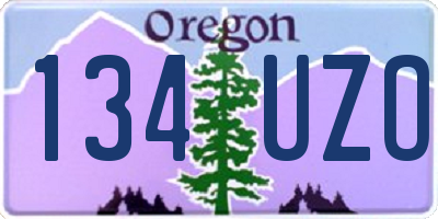 OR license plate 134UZO