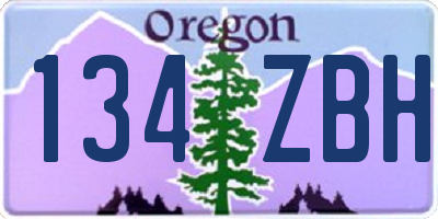 OR license plate 134ZBH