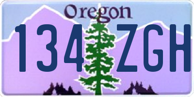 OR license plate 134ZGH
