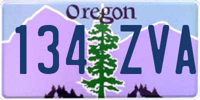 OR license plate 134ZVA