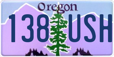 OR license plate 138USH