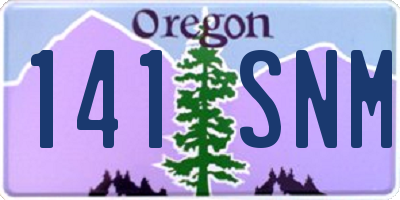 OR license plate 141SNM