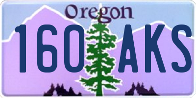 OR license plate 160AKS