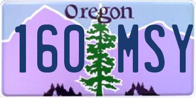 OR license plate 160MSY