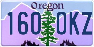 OR license plate 160OKZ