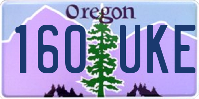 OR license plate 160UKE