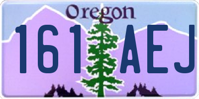 OR license plate 161AEJ