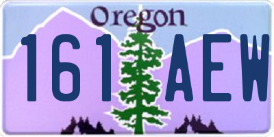 OR license plate 161AEW