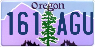 OR license plate 161AGU