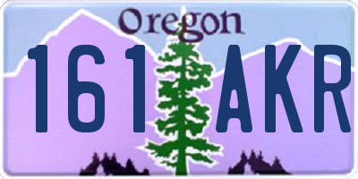 OR license plate 161AKR
