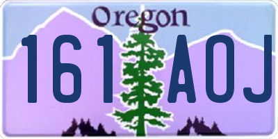 OR license plate 161AOJ