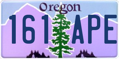 OR license plate 161APE