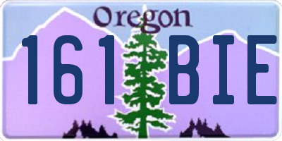 OR license plate 161BIE