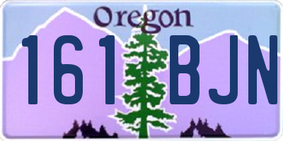 OR license plate 161BJN