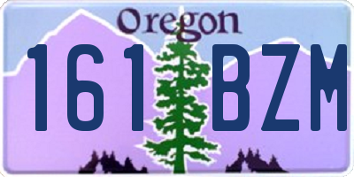OR license plate 161BZM