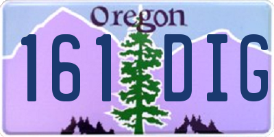 OR license plate 161DIG