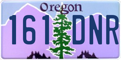 OR license plate 161DNR