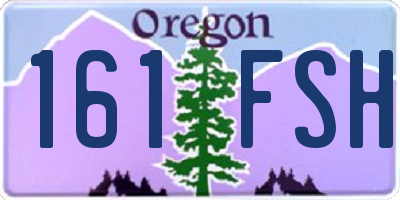 OR license plate 161FSH