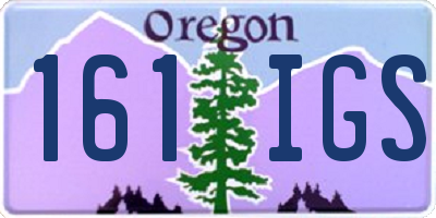 OR license plate 161IGS