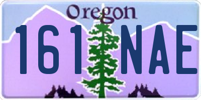 OR license plate 161NAE