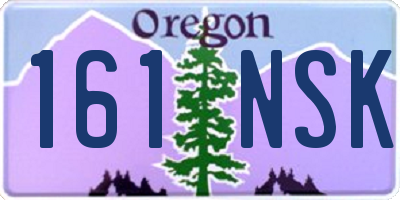 OR license plate 161NSK