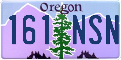 OR license plate 161NSN