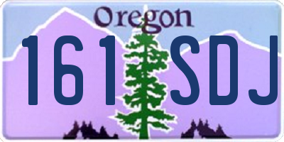 OR license plate 161SDJ