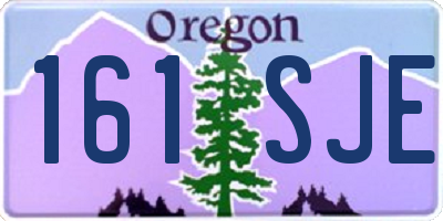 OR license plate 161SJE