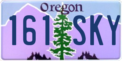 OR license plate 161SKY