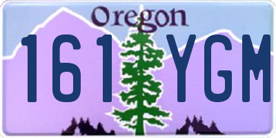 OR license plate 161YGM