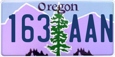OR license plate 163AAN