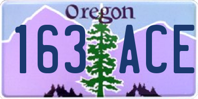 OR license plate 163ACE