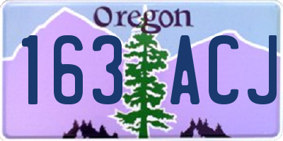 OR license plate 163ACJ