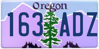 OR license plate 163ADZ