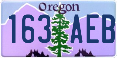 OR license plate 163AEB