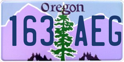 OR license plate 163AEG