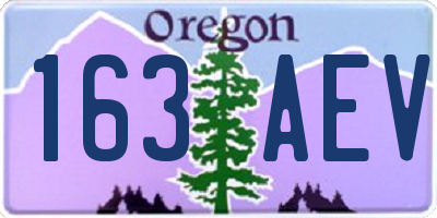 OR license plate 163AEV