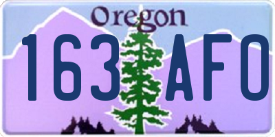 OR license plate 163AFO
