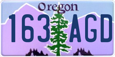 OR license plate 163AGD