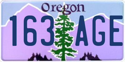 OR license plate 163AGE