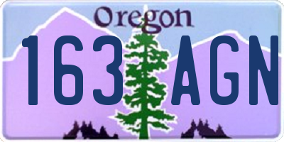 OR license plate 163AGN