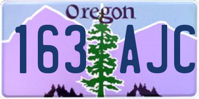 OR license plate 163AJC