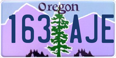 OR license plate 163AJE