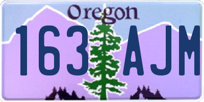 OR license plate 163AJM
