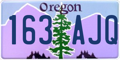 OR license plate 163AJQ