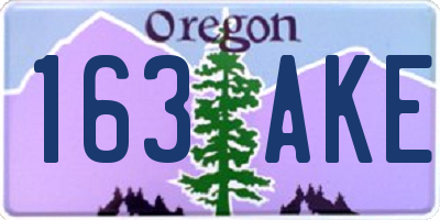OR license plate 163AKE