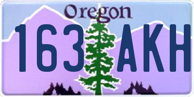 OR license plate 163AKH