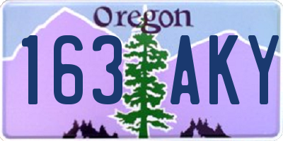 OR license plate 163AKY
